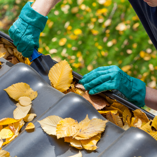 gutter cleaning vs gutter guards